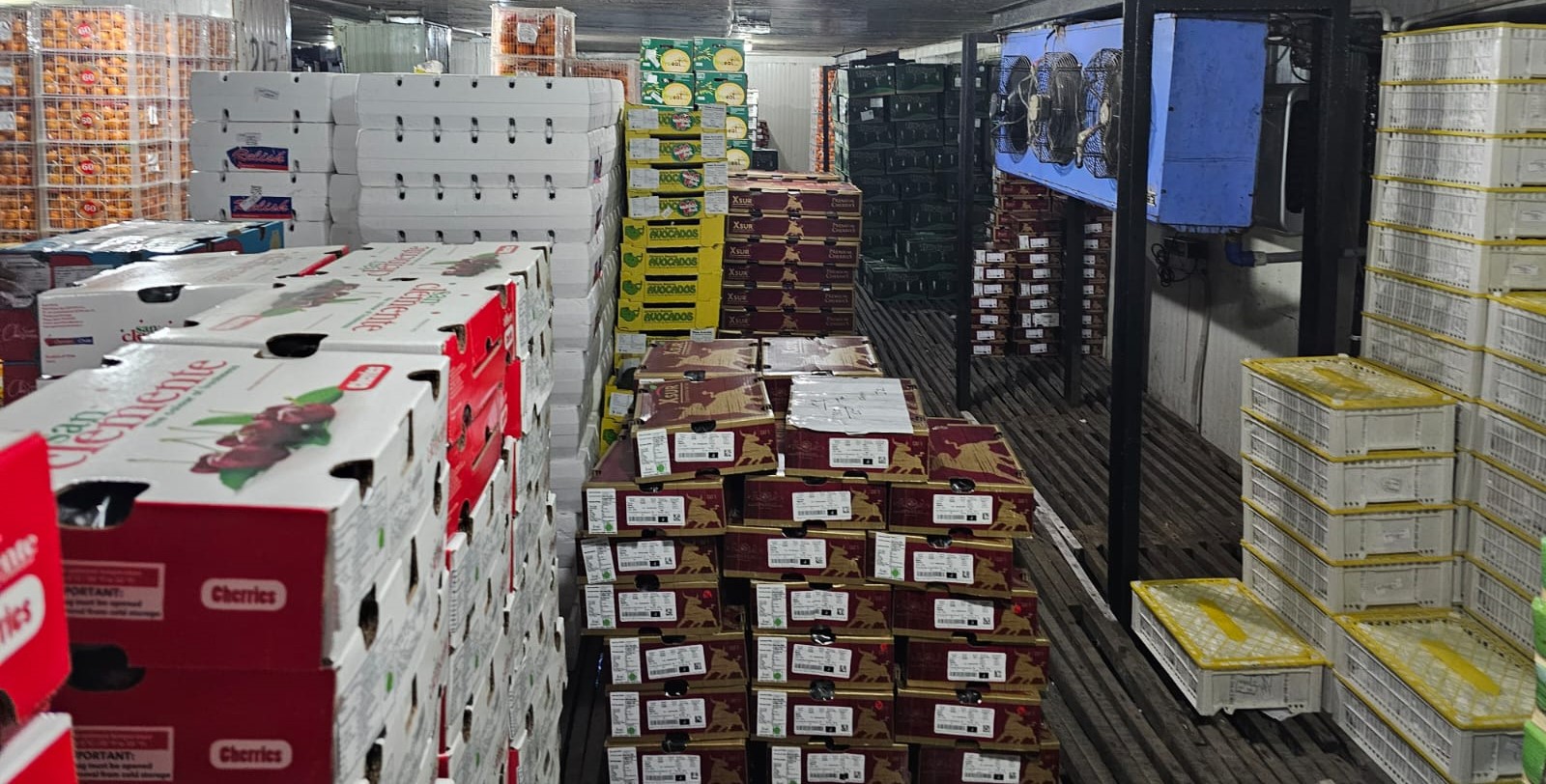 Fruit cartons inside Delhi Cold Storage facility in Azadpur