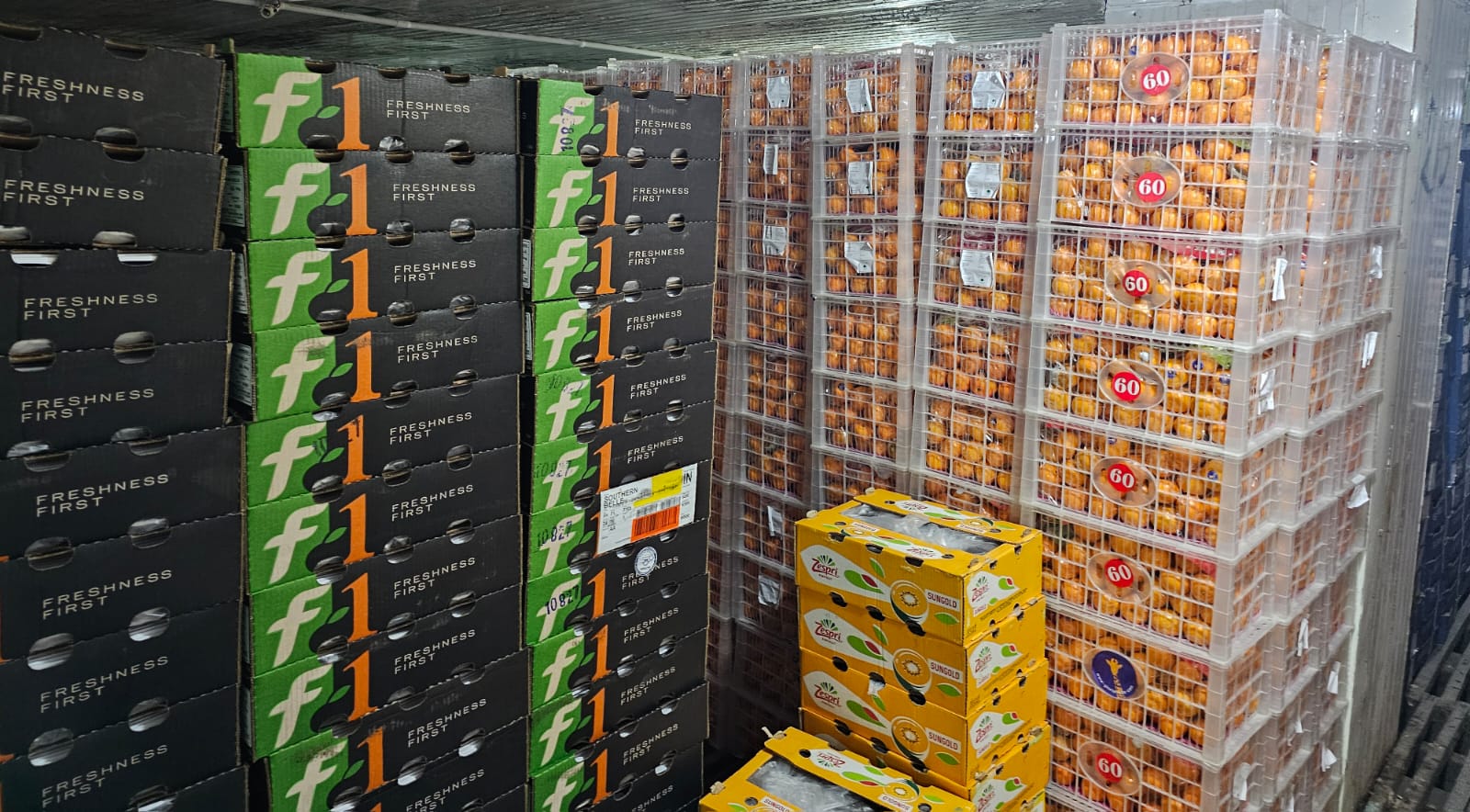 Imported fruit cartons inside cold storage at New Sabzi Mandi Azadpur