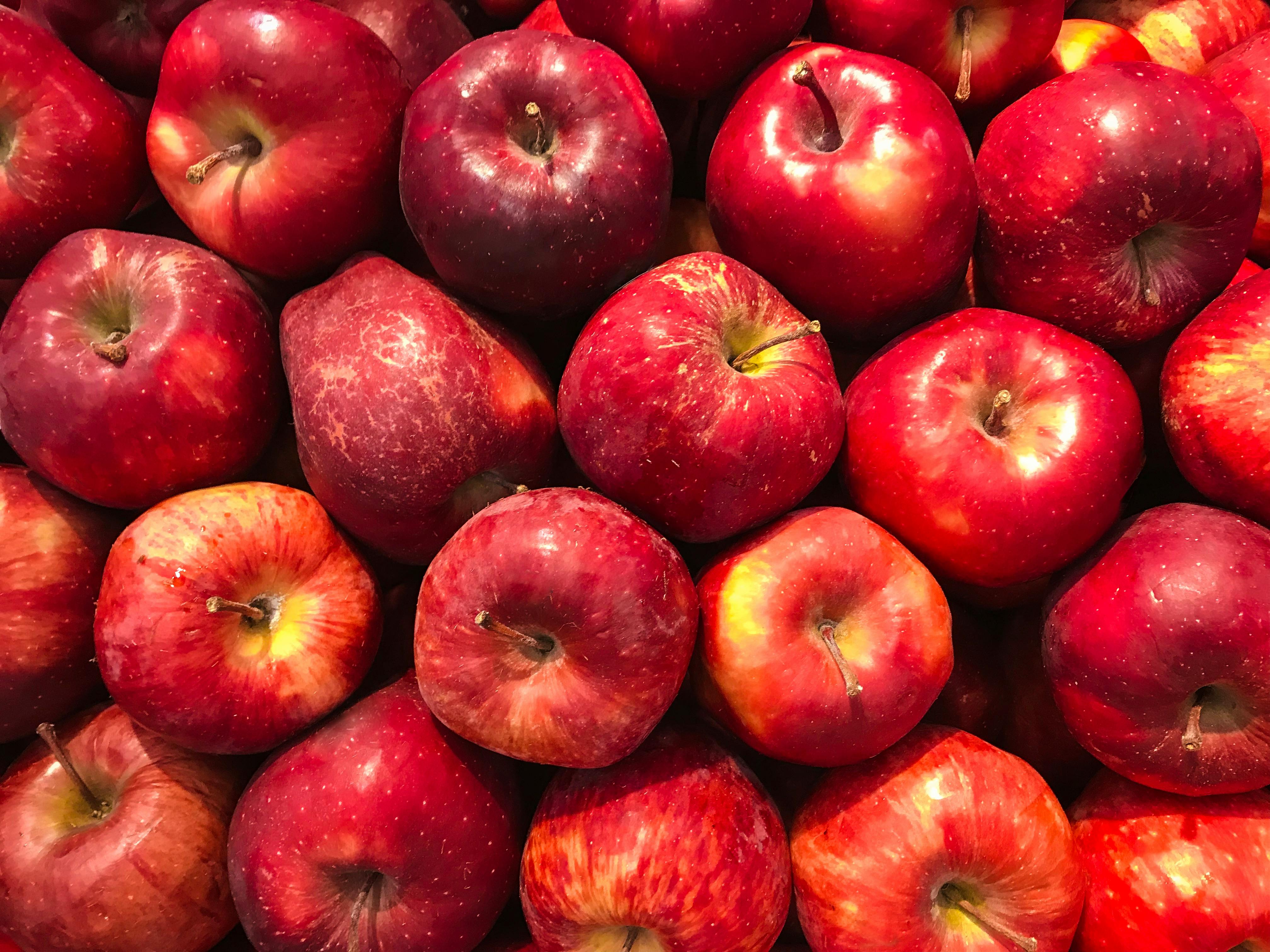 Apples for cold storage in Delhi